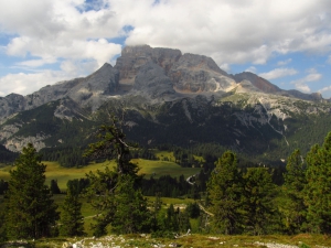 Croda rossa (foto Annalisa Borrelli)